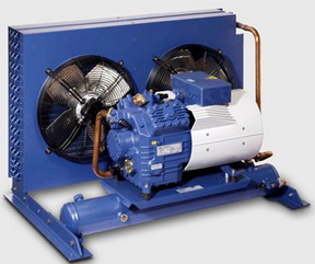 ���������͉��s�C�������